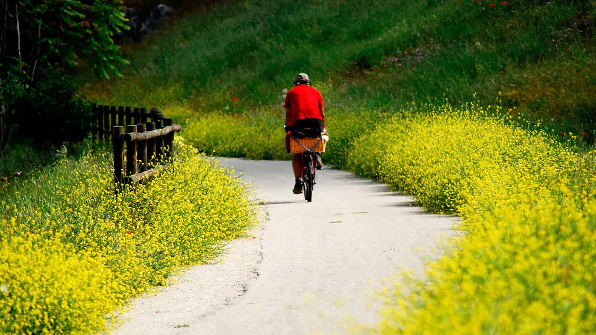 Cung đường olive ở Tây Ban Nha: Giao lộ thiên nhiên và văn hóa