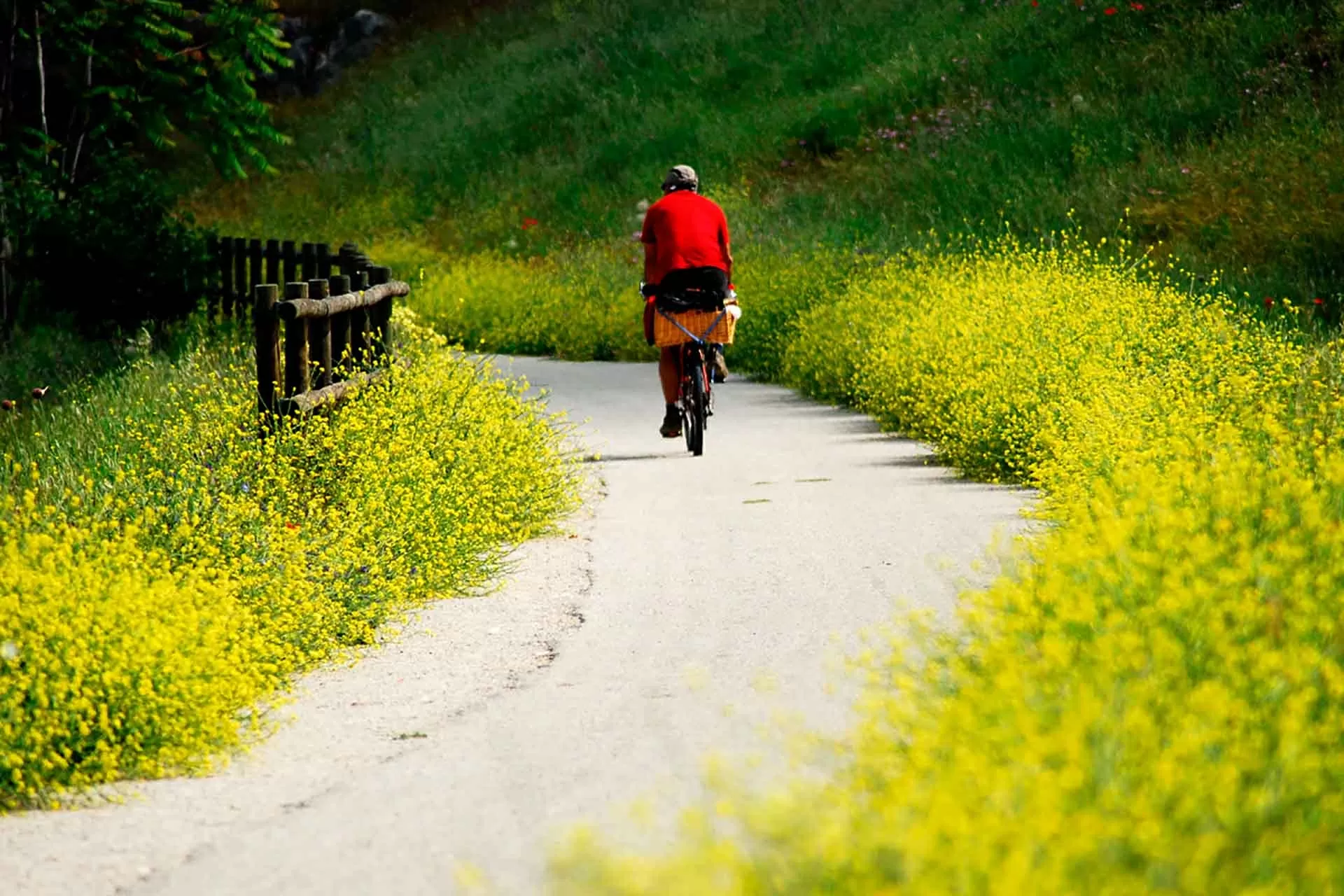 Giao lộ thiên nhiên và văn hóa Giao lộ thiên nhiên và văn hóa