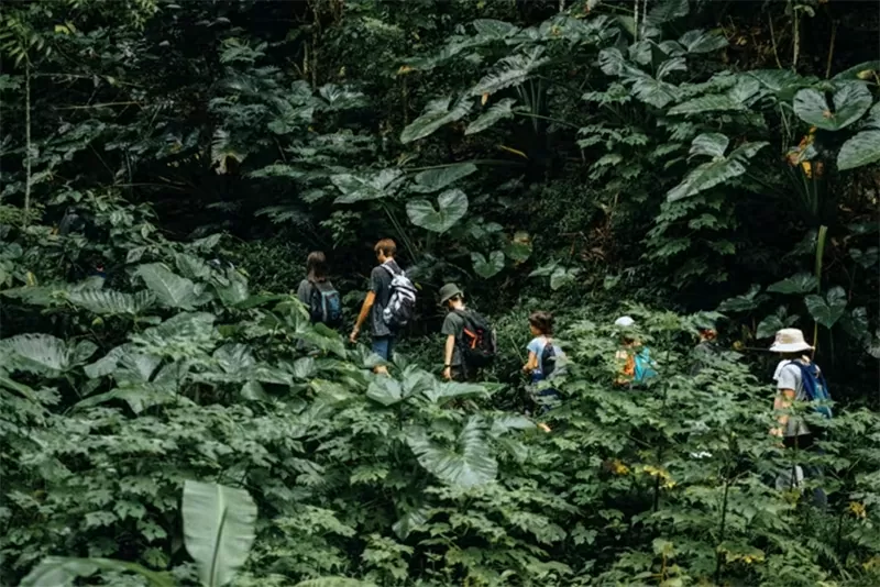 Thiên đường chăm sóc sức khỏe Bali Thiên đường chăm sóc sức khỏe Bali