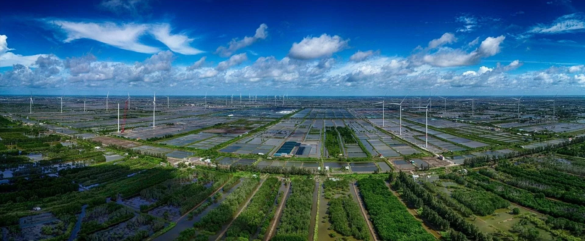 VSBF: Từ sáng kiến vì tương lai đến nền tảng đối thoại uy tín mang tầm khu vực