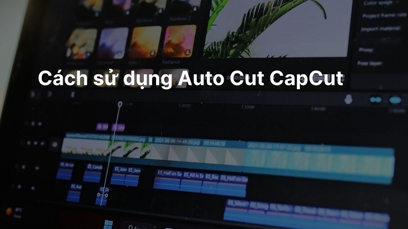 Cách sử dụng Auto Cut CapCut chỉnh sửa video chuyên nghiệp