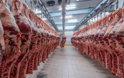 Quốc gia quy định tiêu chuẩn thịt nhập khẩu gắt gao nhất thế giới