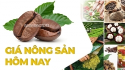 Giá cà phê hôm nay 30/6/2025: Dự báo giá cà phê tuần này, Giá tiêu chờ thuế đối ứng của Mỹ; Thông tư mới quy định về việc cấp C/O có gì?