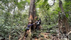 Vườn quốc gia Tam Đảo - Thiên đường xanh giữa mây ngàn