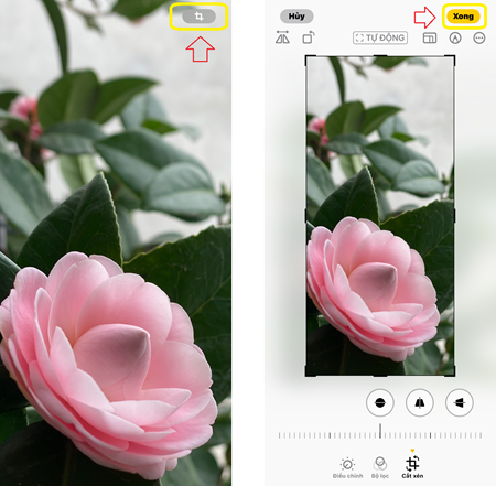 Cắt ảnh bằng một chạm