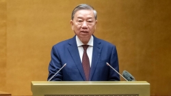 Xác định quyết tâm chính trị cao nhất trong lãnh đạo, chỉ đạo thực hiện Nghị quyết Hội nghị Trung ương 11