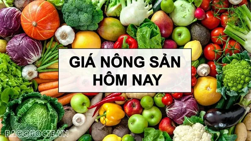 Giá nông sản hôm nay 3/6/2025: Giá cà phê