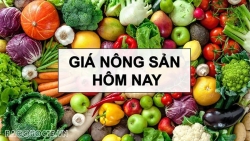 Giá nông sản hôm nay 19/7/2025: Giá cà phê robusta thất thường; Cơ quan chức năng phản hồi về thủ tục Giấy chứng nhận an toàn thực phẩm xuất khẩu