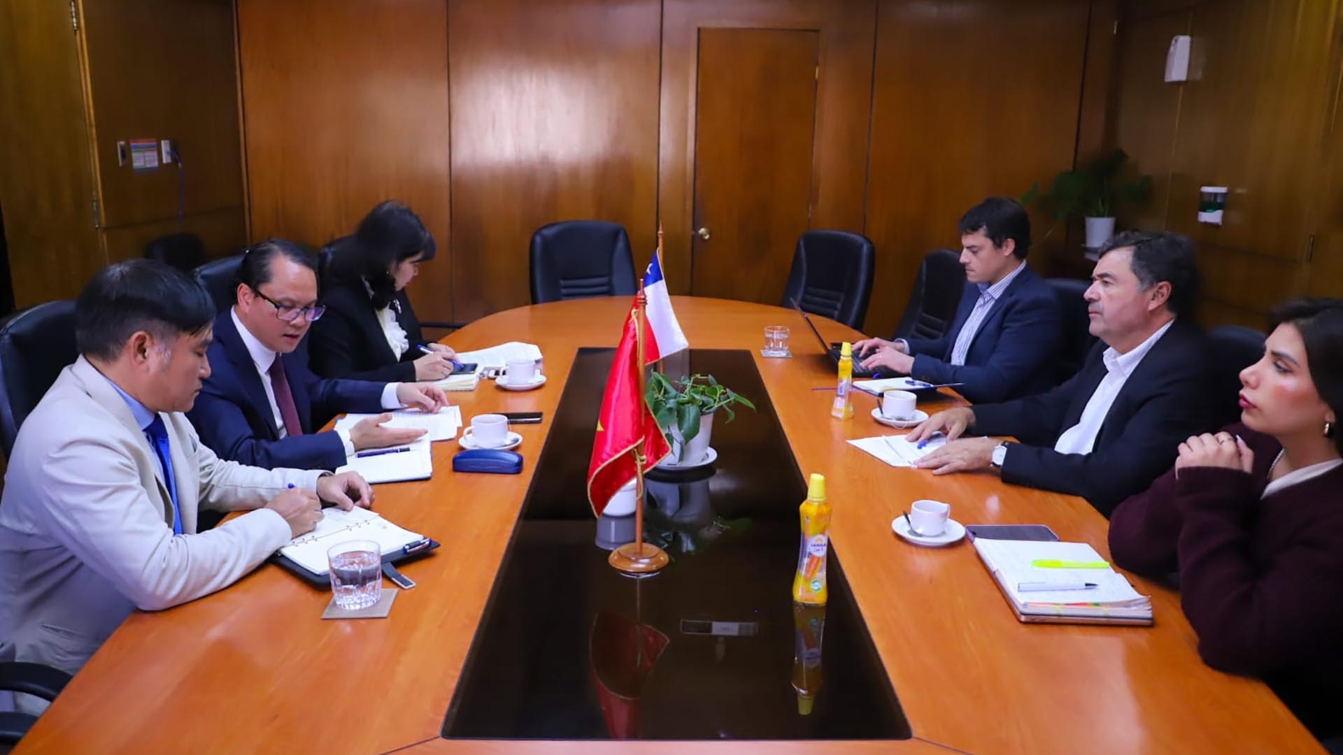 Việt Nam-Chile thúc đẩy trao đổi thương mại và hợp tác nông nghiệp