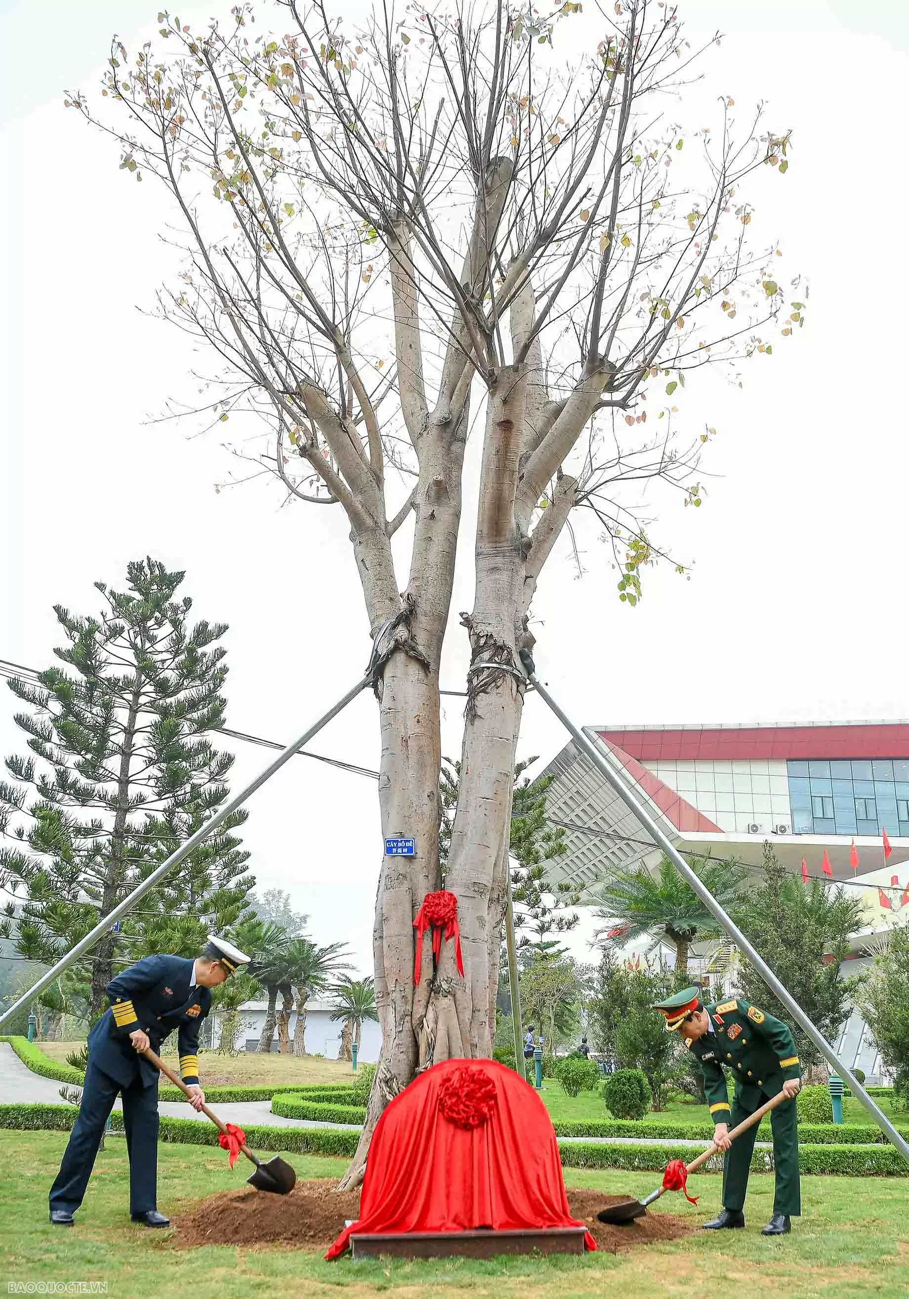 Đại tướng Phan Văn Giang đón Bộ trưởng Quốc phòng Việt Nam và Trung Quốc trồng cây tại biên giới hai nước