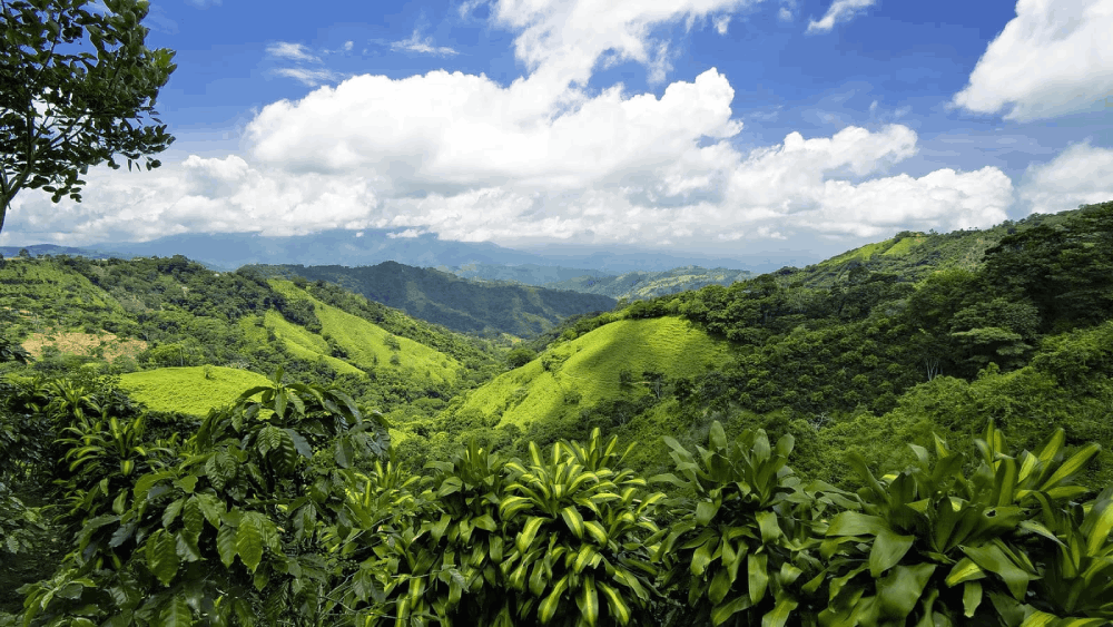 12 điểm dừng chân sáng giá dẫn đầu xu hướng 'du lịch có trách nhiệm' năm 2025