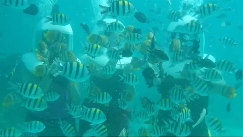 Lặn biển với mũ bảo hiểm tại Philippines: Du lịch mạo hiểm đang phát triển mạnh. (Nguồn: Anita Rao Kashi) Lặn biển với mũ bảo hiểm tại Philippines: Du lịch mạo hiểm đang phát triển mạnh. (Nguồn: Anita Rao Kashi)