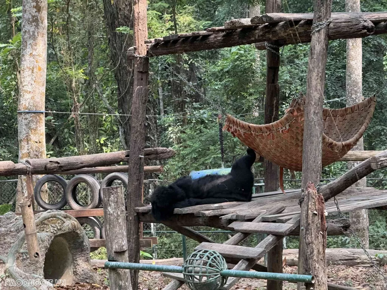 Lang thang Luang Prabang (Lào) Lang thang ở Luang Prabang