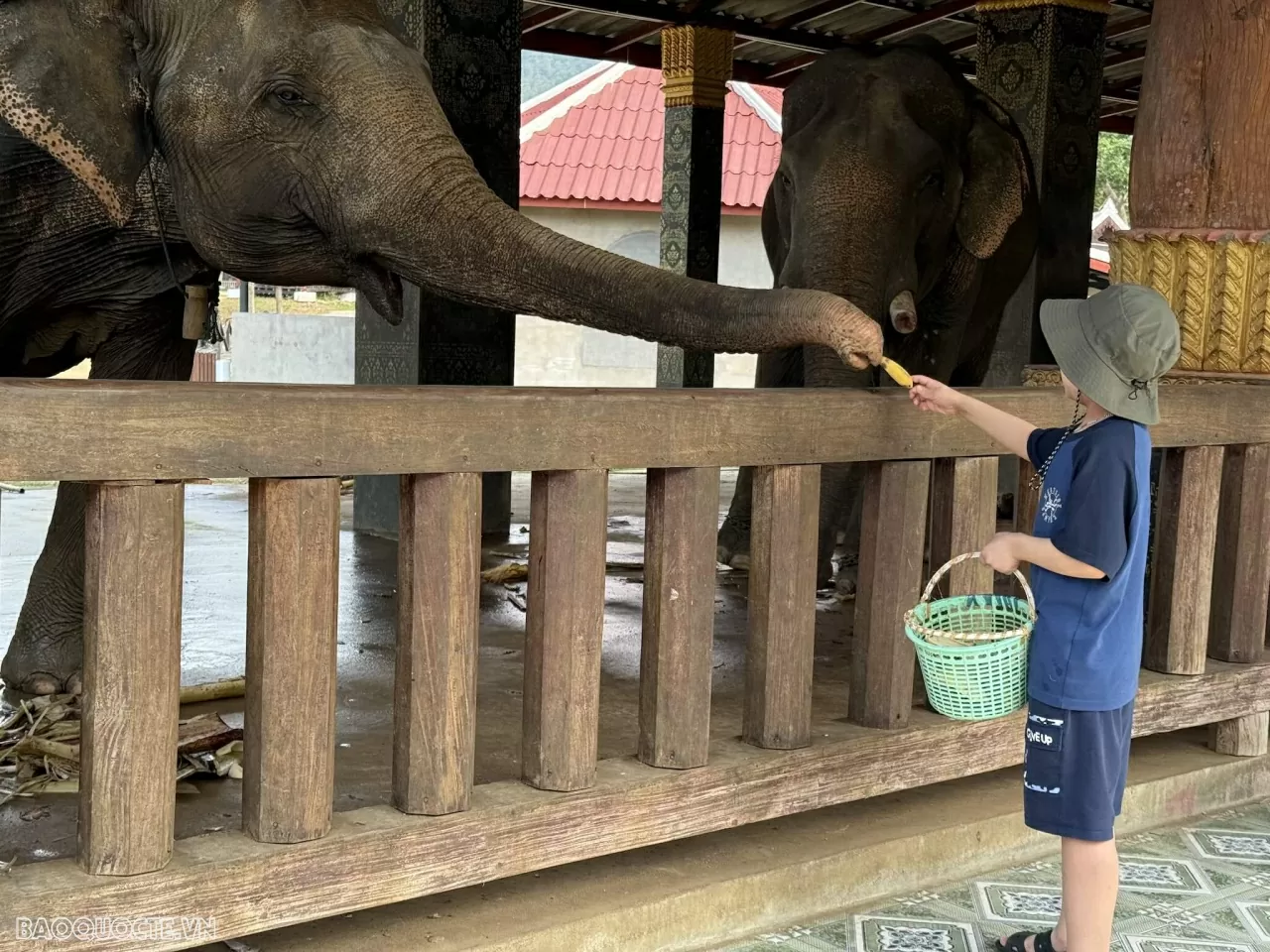 Lang thang Luang Prabang (Lào) Lang thang Luang Prabang (Lào)