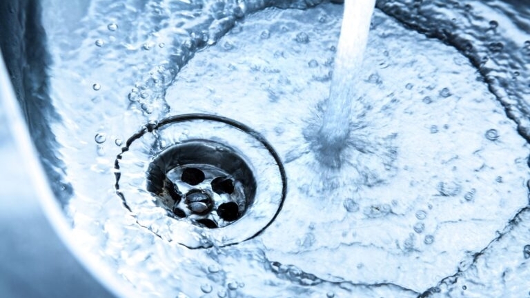 Australia phát hiện nguồn lây nhiễm siêu vi khuẩn nguy hiểm