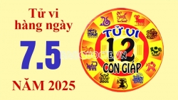 Tử vi hôm nay, xem tử vi 12 con giáp hôm nay ngày 7/5/2025: Tuổi Tỵ làm ăn thành đạt