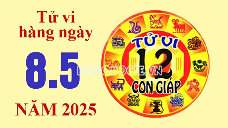 Tử vi hôm nay, xem tử vi 12 con giáp hôm nay ngày 8/5/2025: