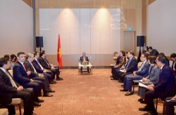 Tổng Bí thư Tô Lâm: Việt Nam mong muốn tham gia đầu tư vào các mỏ tại Azerbaijan