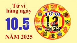 Tử vi hôm nay, xem tử vi 12 con giáp hôm nay ngày 10/5/2025: Tuổi Hợi mất tiền đáng tiếc