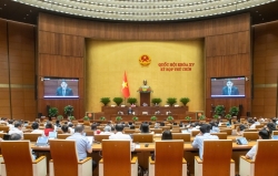 Dự thảo Luật Quảng cáo: Thắt chặt quy định về người chuyển tải quảng cáo