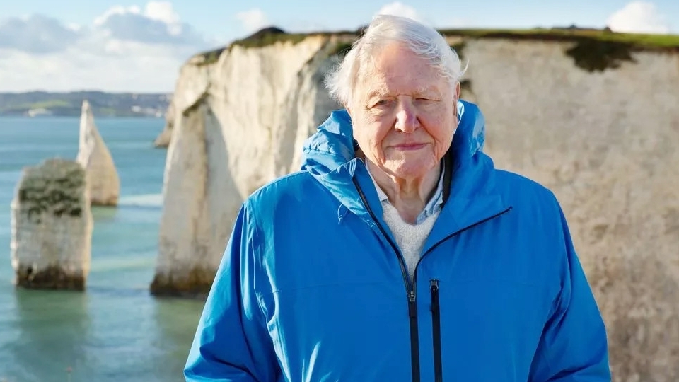 Bí quyết giúp sống khỏe nhờ cắt giảm một món quen thuộc