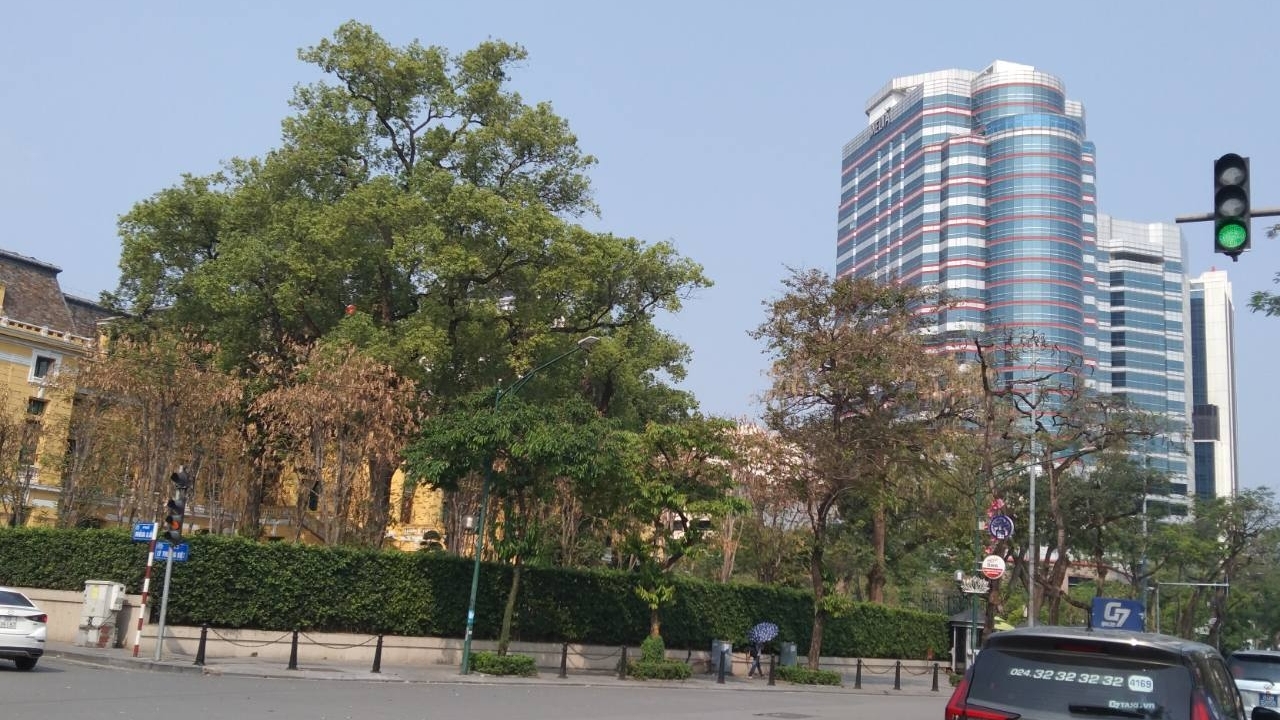 Dự báo thời tiết 10 ngày tới (11-21/5): Bắc Bộ ngày nắng; Trung Bộ nóng cục bộ; các khu vực chiều tối có nơi mưa to