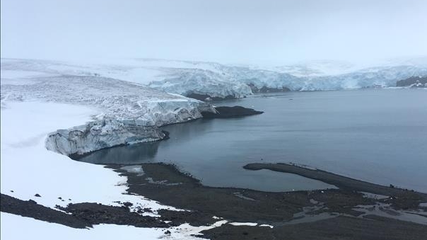 Biến đổi khí hậu đang tàn phá Nam Cực