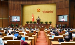 Bầu cử đại biểu Quốc hội khóa XVI sẽ vào ngày 15/3/2026