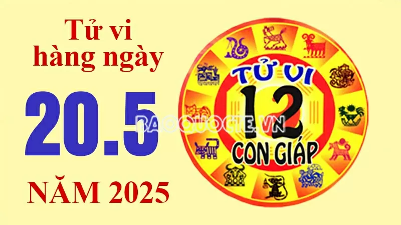 Tử vi hôm nay, xem tử vi 12 con giáp hôm nay ngày 20/5/2025: