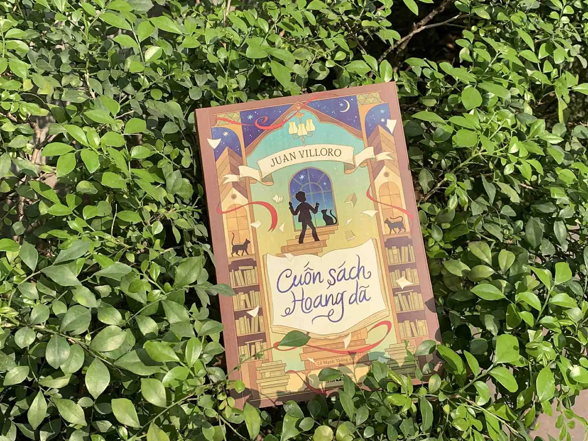 Bắc cầu văn hóa Việt Nam-Mexico Bắc cầu văn hóa Việt Nam-Mexico