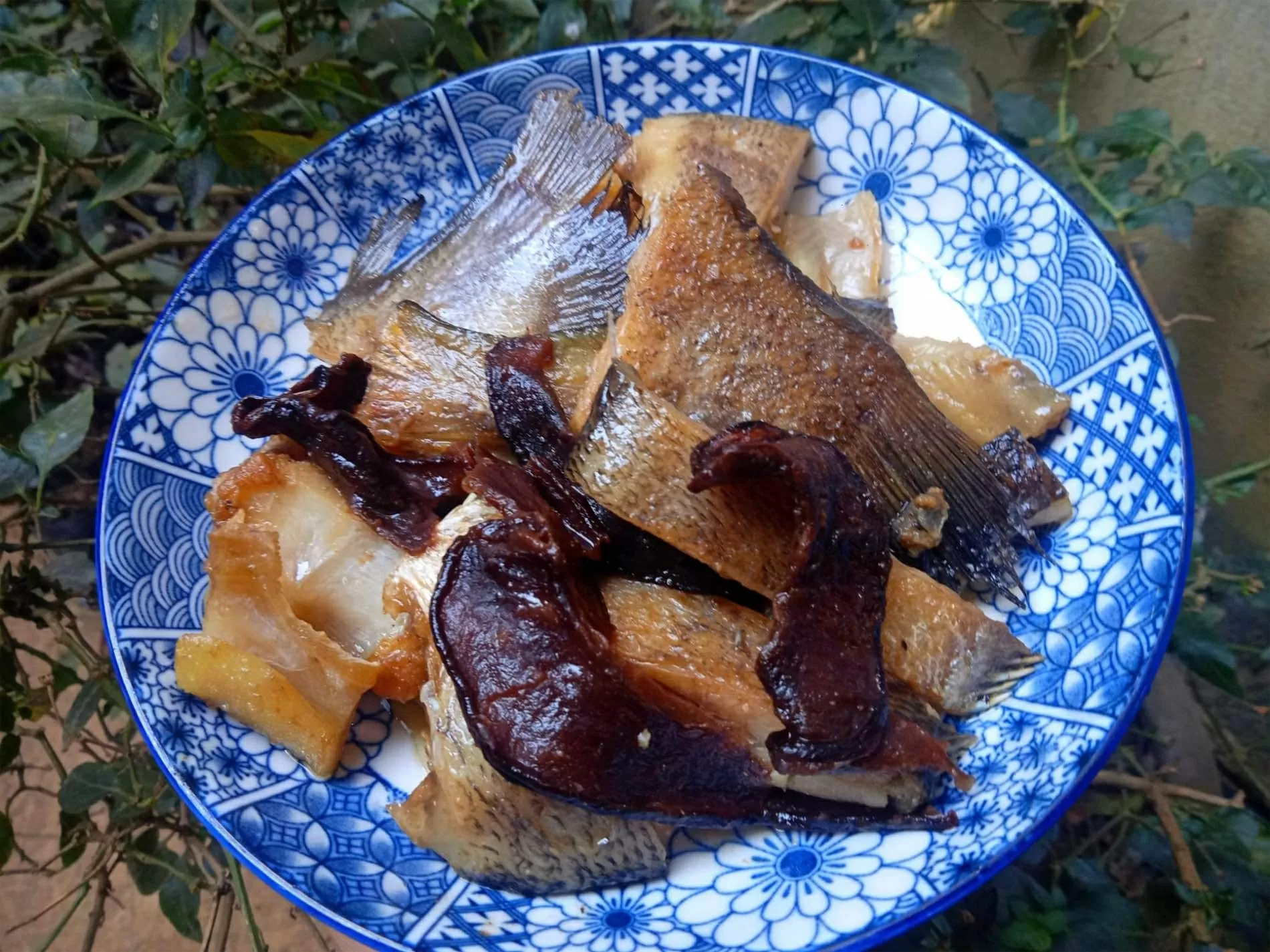 Đặc sản ‘trời ban’ được bà con vùng cao ‘săn đón’ Đặc sản ‘trời ban’ được bà con vùng cao ‘săn đón’