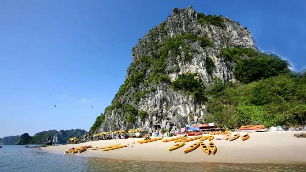 Hòn Cỏ - ‘ốc đảo xanh’ giữa vùng lõi Vịnh Hạ Long Hòn Cỏ - ‘ốc đảo xanh’ giữa vùng lõi Vịnh Hạ Long