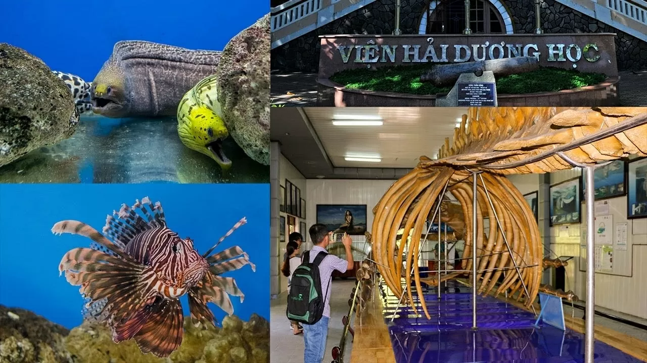 Nha Trang – điểm đến biển đảo hấp dẫn toàn cầu mùa Hè 2025 Nha Trang – điểm đến biển đảo hấp dẫn toàn cầu mùa Hè 2025