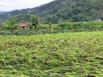 Mưa lớn kéo dài gây nhiều thiệt hại tại một số địa phương