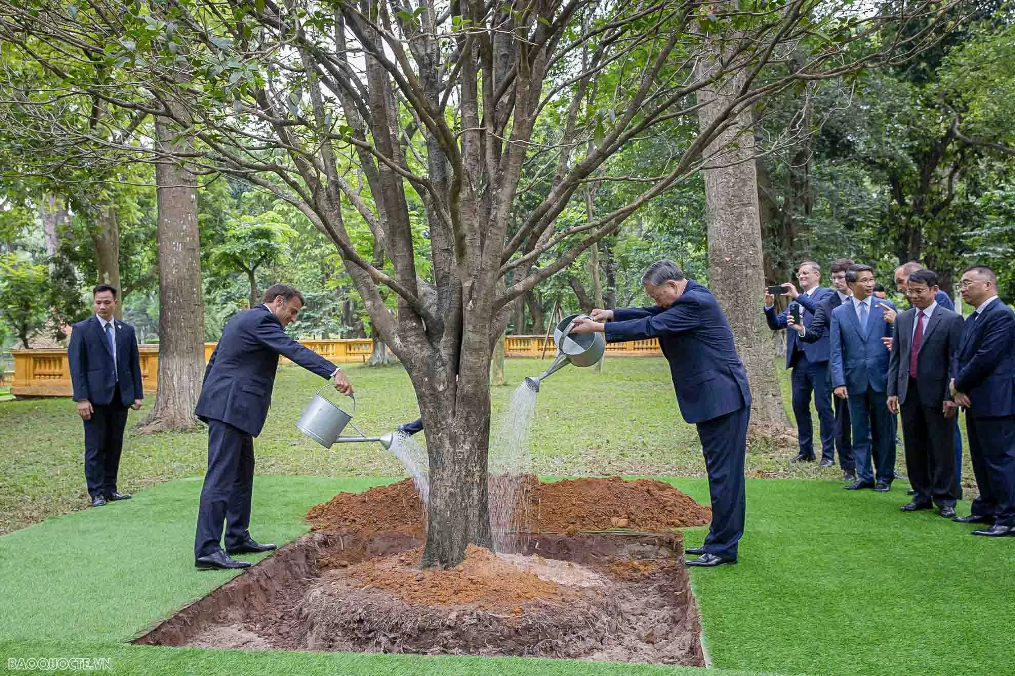 Tổng Bí thư Tô Lâm và Tổng thống Emmanuel Macron trồng cây mộc tại Khu Di tích Chủ tịch Hồ Chí Minh Tổng Bí thư Tô Lâm và Tổng thống Emmanuel Macron trồng cây mộc tại Khu Di tích Chủ tịch Hồ Chí Minh