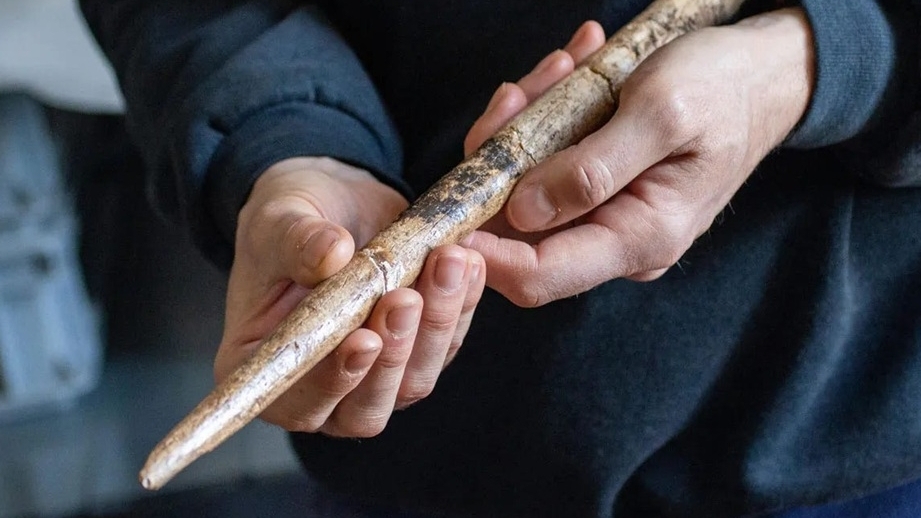 Con người cổ đại sử dụng xương cá voi làm công cụ săn bắn