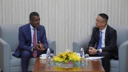 TP. Hồ Chí Minh và Cộng đồng Thịnh vượng Dominica tăng cường hợp tác thiết thực, hiệu quả