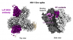 'Huấn luyện viên' cho hệ miễn dịch: Đột phá mới trong nghiên cứu vaccine HIV