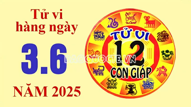 Tử vi hôm nay, xem tử vi 12 con giáp hôm nay ngày 3/6/2025: