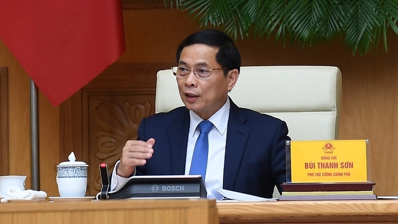 Phó Thủ tướng Bùi Thanh Sơn tiếp đoàn Tổ chức Khoa học và Chuyên gia Việt Nam toàn cầu