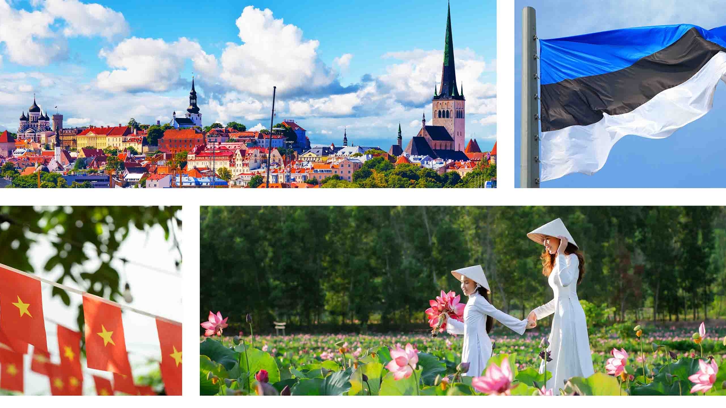 Đôi nét về quan hệ Việt Nam-Estonia