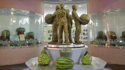 Nông dân Trung Quốc chia sẻ bí quyết trồng quả dưa hấu nặng hơn 97kg