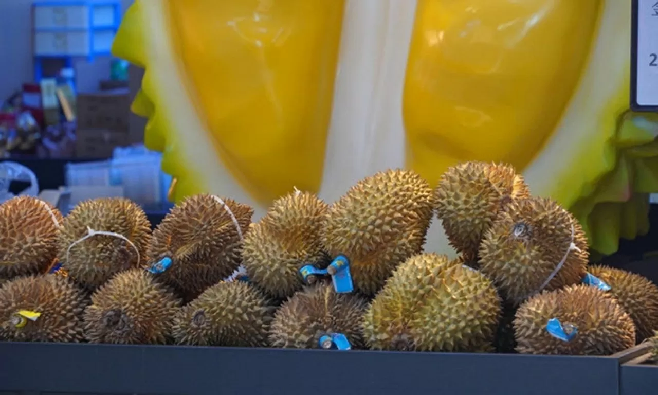 ‘Cánh tay nối dài’ đưa nông sản Việt sang thị trường tỷ dân ‘Cánh tay nối dài’ đưa nông sản Việt sang thị trường tỷ dân