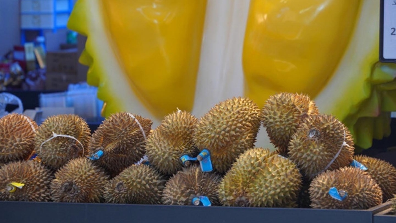 Đại sứ Phạm Thanh Bình: 'Cánh tay nối dài' đưa nông sản Việt Nam sang thị trường tỷ dân