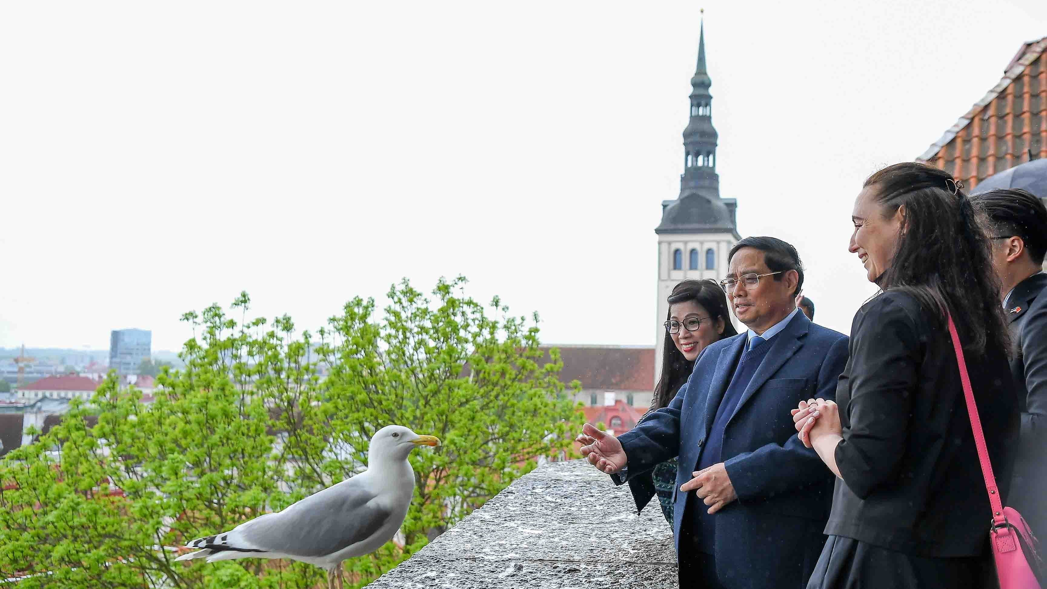 Thủ tướng Phạm Minh Chính và Phu nhân thăm cảng biển hàng đầu vùng Baltic và phố cổ Tallinn