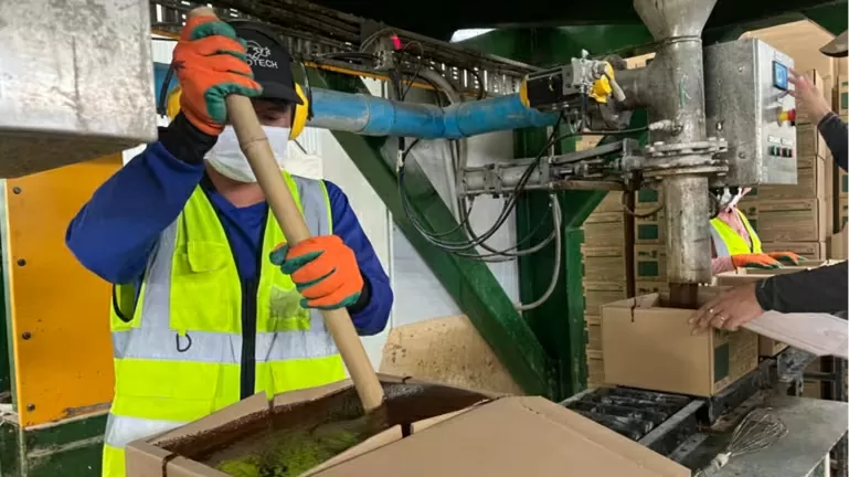 Startup Australia phụ trách vận hành và sản xuất quốc tế của AgCoTech giúp nông dân Lào cắt giảm khí nhà kính trong chăn nuôi bò Startup Australia phụ trách vận hành và sản xuất quốc tế của AgCoTech giúp nông dân Lào cắt giảm khí nhà kính trong chăn nuôi bò