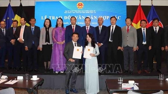 Phát huy nguồn lực cộng đồng người Việt tại châu Âu thúc đẩy quan hệ Việt Nam-EU