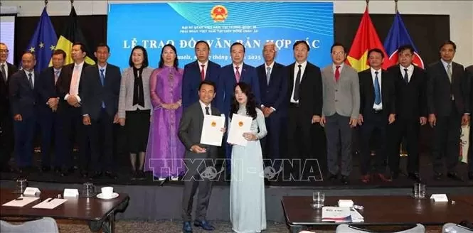 Phát huy nguồn lực cộng đồng người Việt tại châu Âu thúc đẩy quan hệ Việt Nam-EU