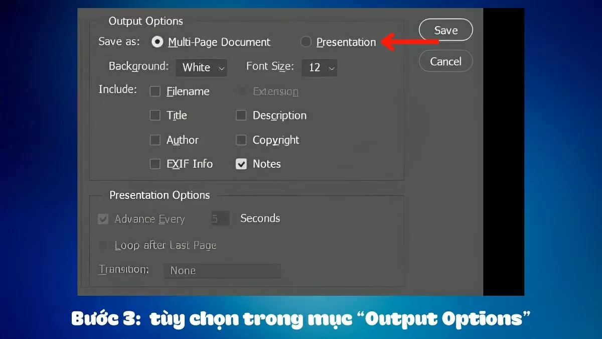 Tích chọn Presentation để xuất file dạng slideshow.
