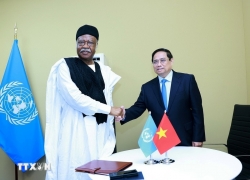 Việt Nam kiên định ủng hộ chủ nghĩa đa phương và vai trò trung tâm của Liên hợp quốc